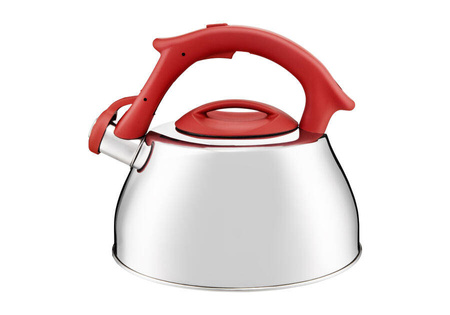 Czajnik nierdzewny AMBITION MODEST 2,7L