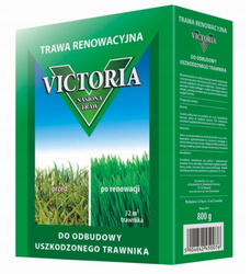 Trawa renowacyjna VICTORIA nasiona traw 800g