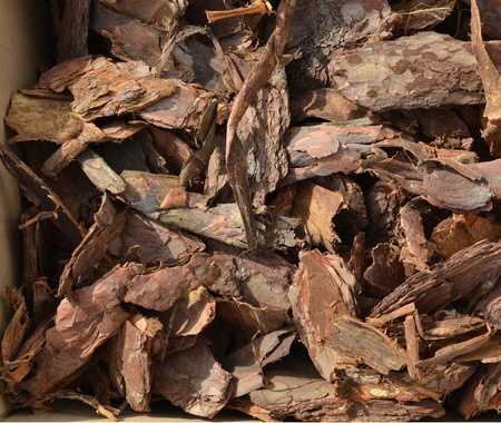 Kora ogrodowa sosnowa ozdobna gruba 60L