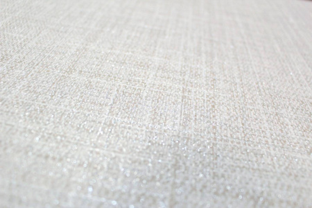 Tapeta w rolce - Plenionka z brokatem - zmywalna na fizelinie 10,05m x 0,53m