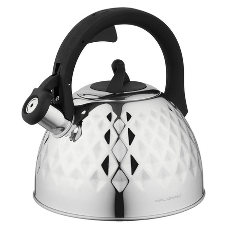 Czajnik nierdzewny FLORINA FENNY 2,5L