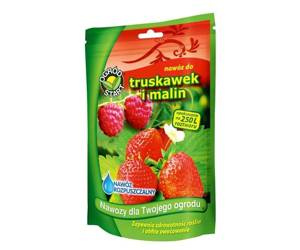 Nawóz do Truskawek i Malin rozpuszczalny OGRÓD START 250g 